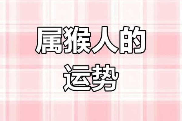 探索一九八零年属猴命的精彩人生与命运轨迹