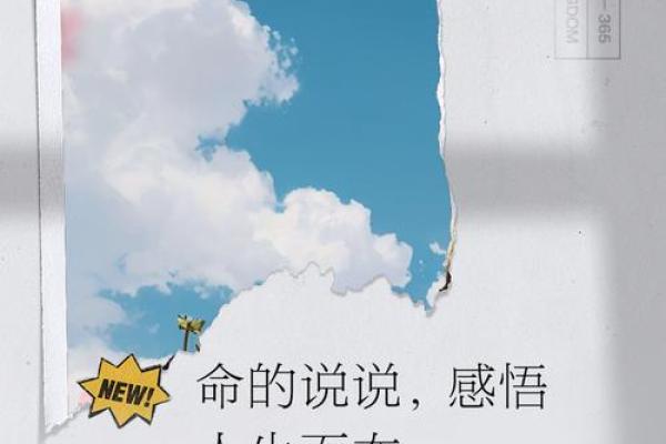 命里没有二婚命，背后的深意与人生抉择