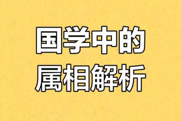 皓齿之命：古人智慧下的生肖解密与命理探讨