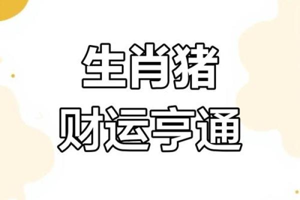 2027年属猪的命运与人生机缘分析，探索未来的无限可能