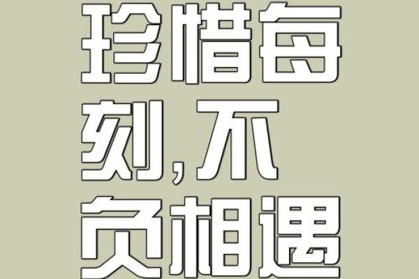 命里须有，纵然巧合亦是命运的引导