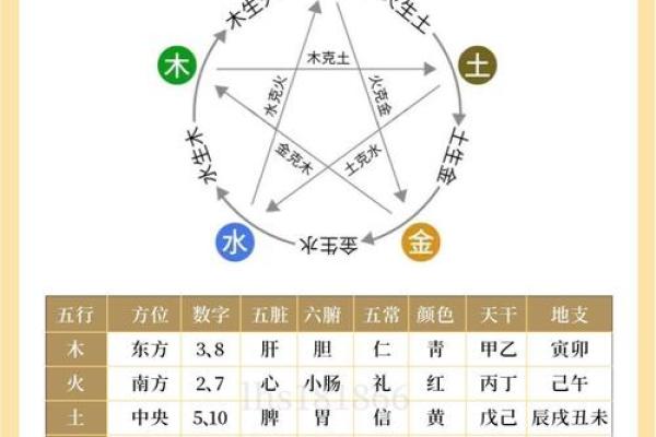如何根据命属缺失判断生活中的五行平衡与调整方法