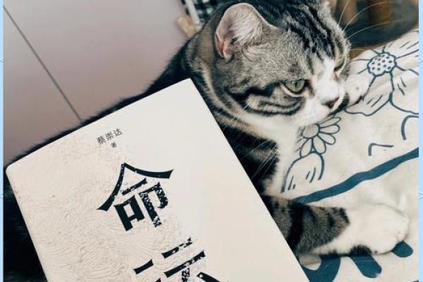 52年是什么命的人：探索人生机遇与不凡命运的秘密