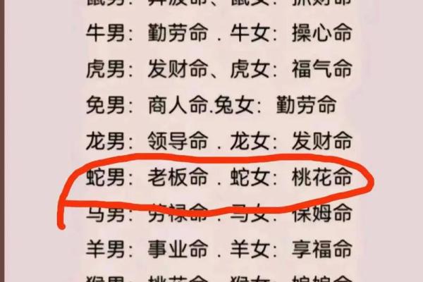 探索七七年命理：好运与挑战的交融之路