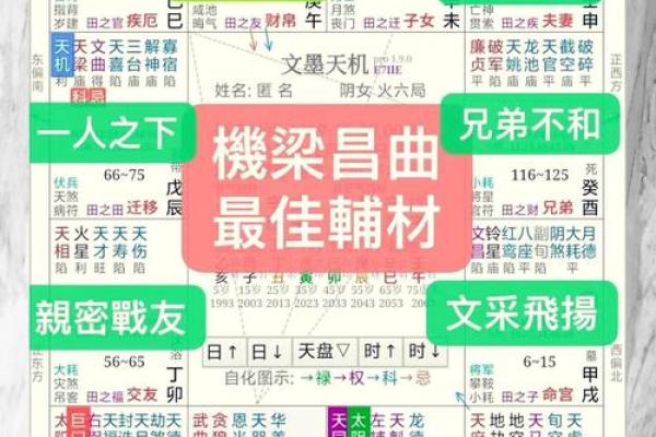 命里有的：探寻命运与人生的奥秘