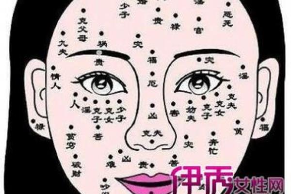 什么样的命才算苦命女人？揭示命运背后的秘密与解读