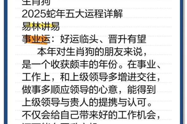 1982年出生狗年命运解析：运势、性格与生活的深刻启示
