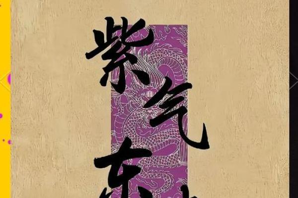 揭开女命6与男命9的神秘面纱，探索命理背后的奥秘与智慧