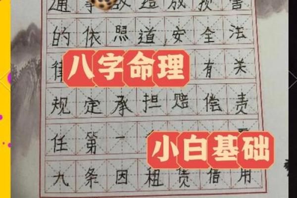揭开女命6与男命9的神秘面纱，探索命理背后的奥秘与智慧