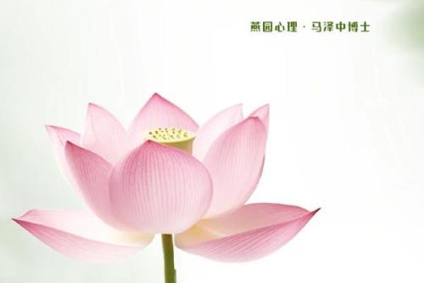 念佛人的命：心灵的归宿与生活的智慧