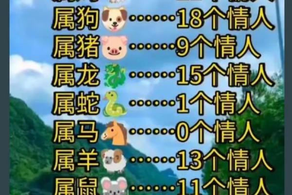 生肖男女相合命理探讨，谁是你的最佳伴侣？