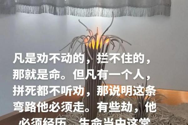 没有孩子的生活：一种自由与选择的命运之道