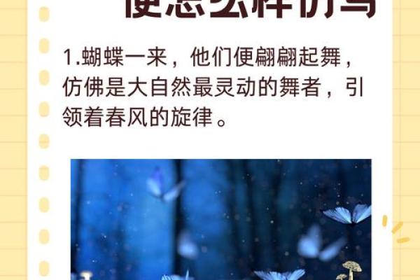 夫妻蝴蝶命的奇妙寓意与生活启示