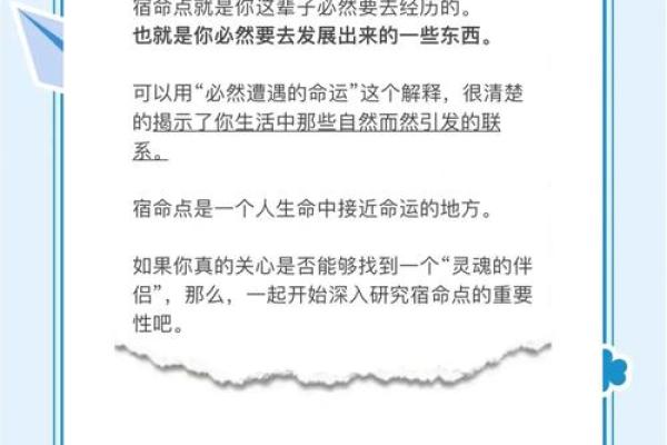 揭秘1995年3月23日出生的独特命格与人生轨迹