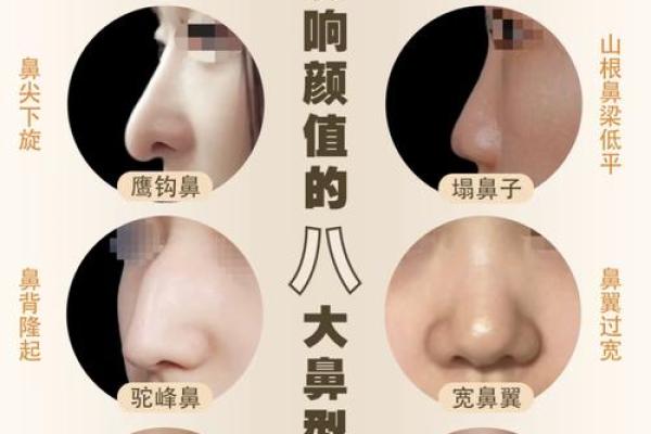 精巧鼻的女人：命运与魅力的交织探讨