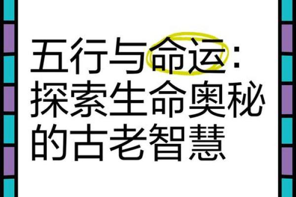 2017年出生的孩子命运解析：五行与成长之道