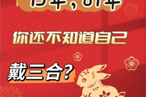 探索1987年出生者的命运与人生潜力