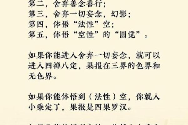 1997年出生者的命运解析：探索他们的性格与人生轨迹