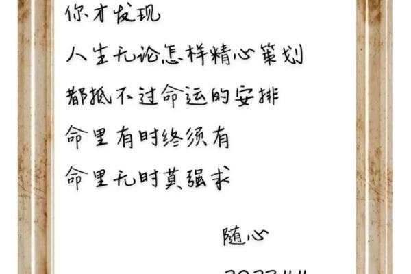 命运的安排：深潜生活中那不为人知的秘密