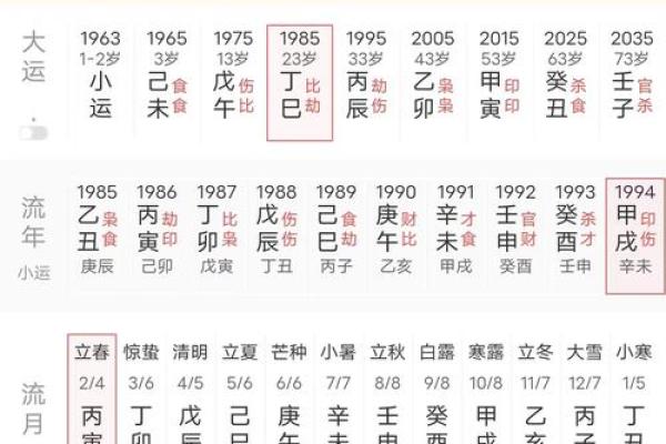 1996年1月1日的命格分析与人生解读