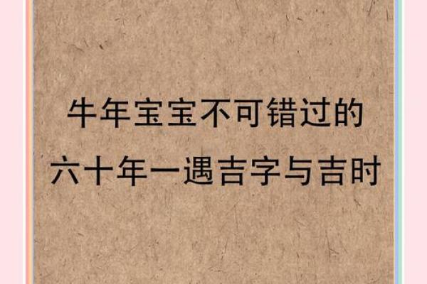1963年出生的牛年命运：揭示性格与运势的神秘之旅