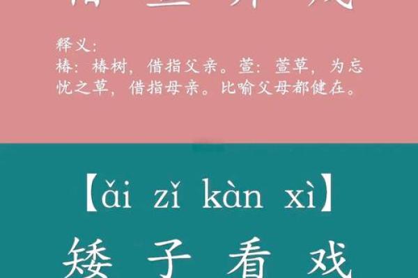 探寻“惟命”成语的智慧与魅力，领悟语言之美