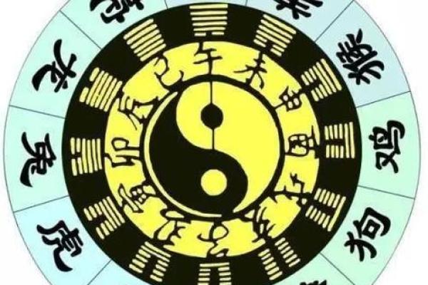 金鼠命与土鼠命的差别与人生影响探讨