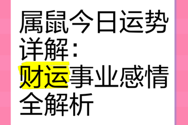 探秘：2020年属鼠人的命运与性格解析