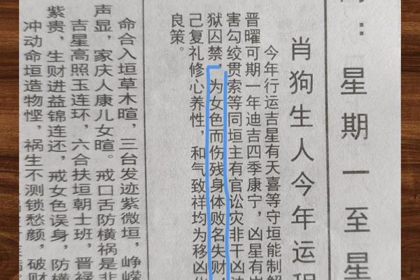 19905月是什么命？人生旅途中的运势解读与启示