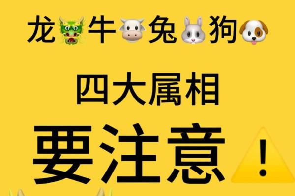 龙命凤命：探寻命理中的吉祥之道与人生哲学