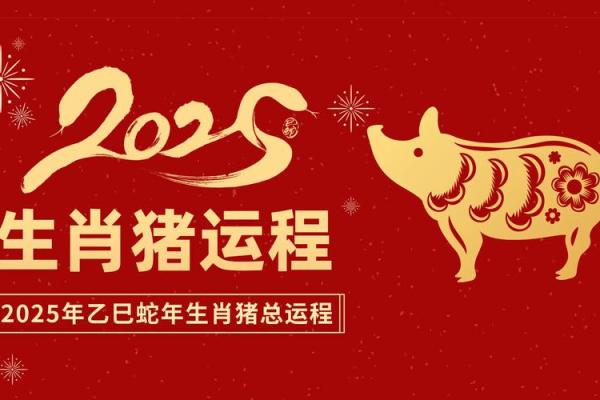 2023年属猪人的命运：贵人相助与机遇并存的一年
