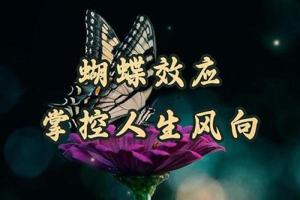 揭秘三两七钱女命：安逸与挑战并存的人生轨迹