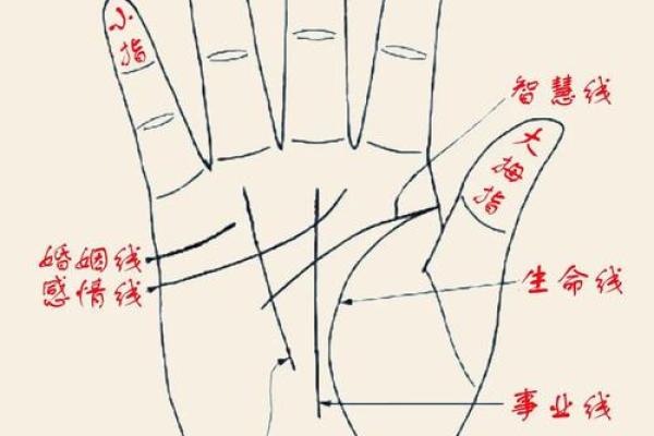 通过手纹解读人生运势：几条线决定你的命运！
