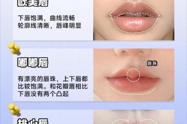 端庄唇的女人命运解析：魅力与智慧的结合之道
