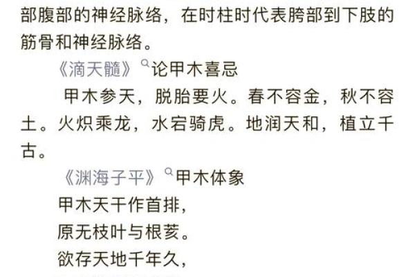 揭秘甲乙木命的强大魅力与人生智慧