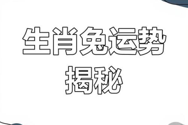 属兔命理解析：深度剖析兔年出生的命运及其缺失之处