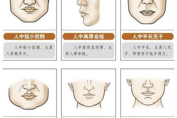 命理师揭秘：如何看懂自己的命格与人生轨迹