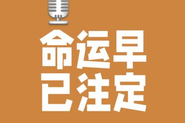 热命人适合的数字：为你的人生指引方向的秘钥
