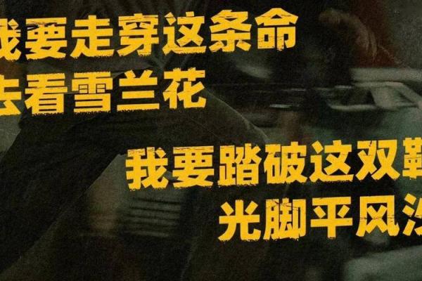 一命救三条命：生活中的勇气与选择