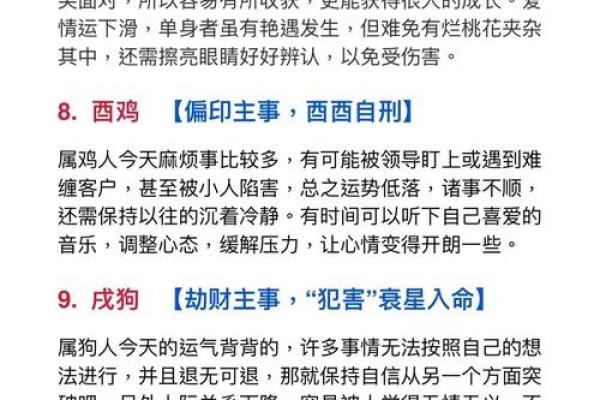 不要怨命，生肖背后的智慧与启示