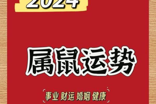 2020年鼠年揭秘：了解你的命理属性与运势分析