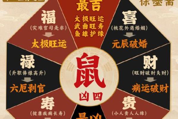 2020年鼠年揭秘：了解你的命理属性与运势分析
