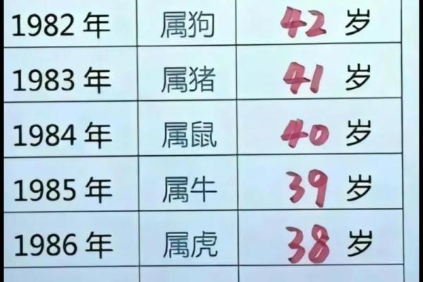 1988年属龙的初三出生者：命理解析与人生启示