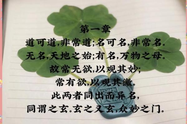 76岁那年的命运之谜：老年人生活的哲学与智慧