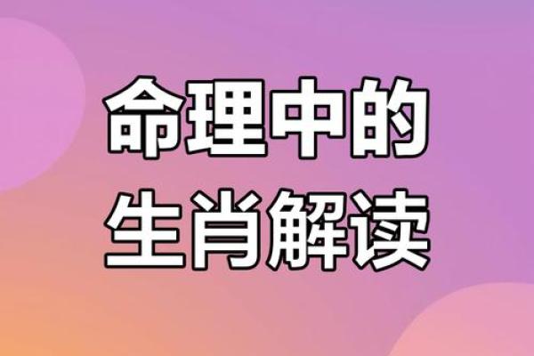 属相与命运深度剖析：你是如何成就自己的命运？