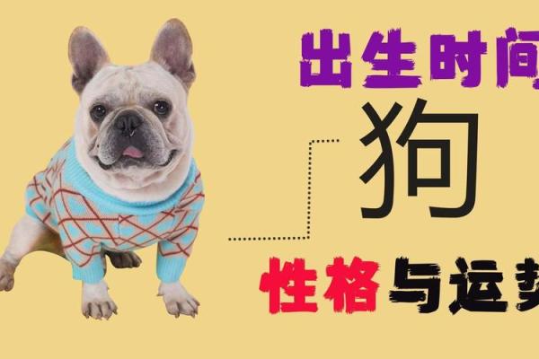 2000年出生的狗：命运与性格的深度解析