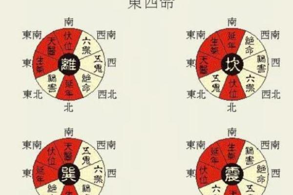 揭秘东四命与西四命：古老卦象中的人生智慧