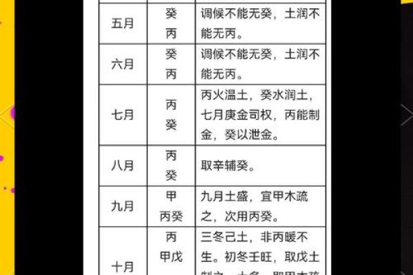 探寻大泽土命的生肖之谜：解读命理的奥秘与智慧