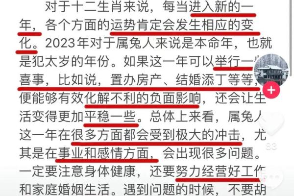 2023兔年运势解析：兔兔发芽，万事胜意！