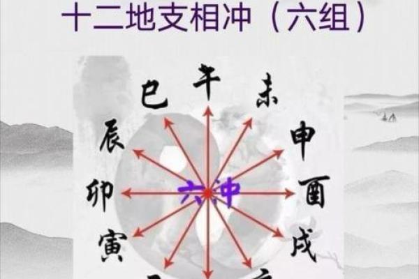 了解猪年五行命格，探寻你的命运之道！